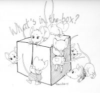 What's in the Box?